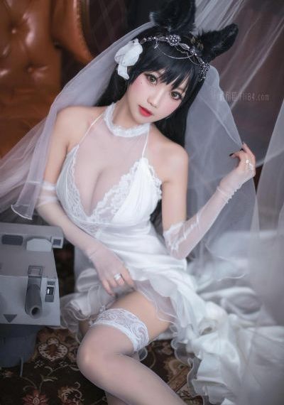 火腿火腿