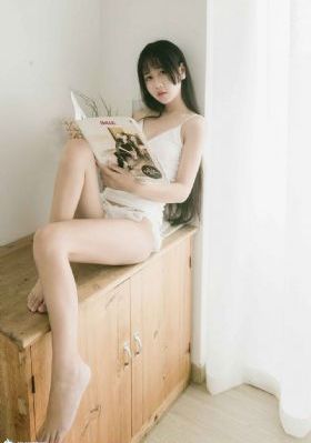 完美证据电视剧免费观看完整版